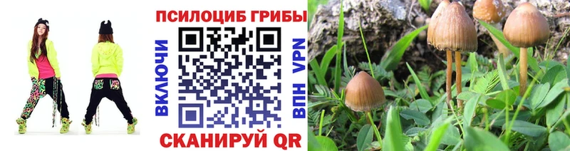 где купить   Усть-Джегута  Галлюциногенные грибы ЛСД 
