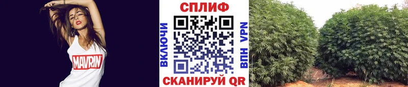 Шишки марихуана MAZAR даркнет сайт площадка Telegram Усть-Джегута kraken маркетплейс